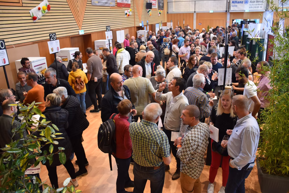 Souvenir du salon Festivins, photo 10