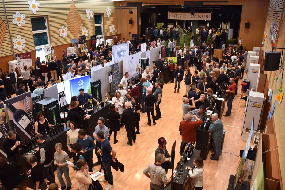 Souvenir du salon Festivins, photo 13