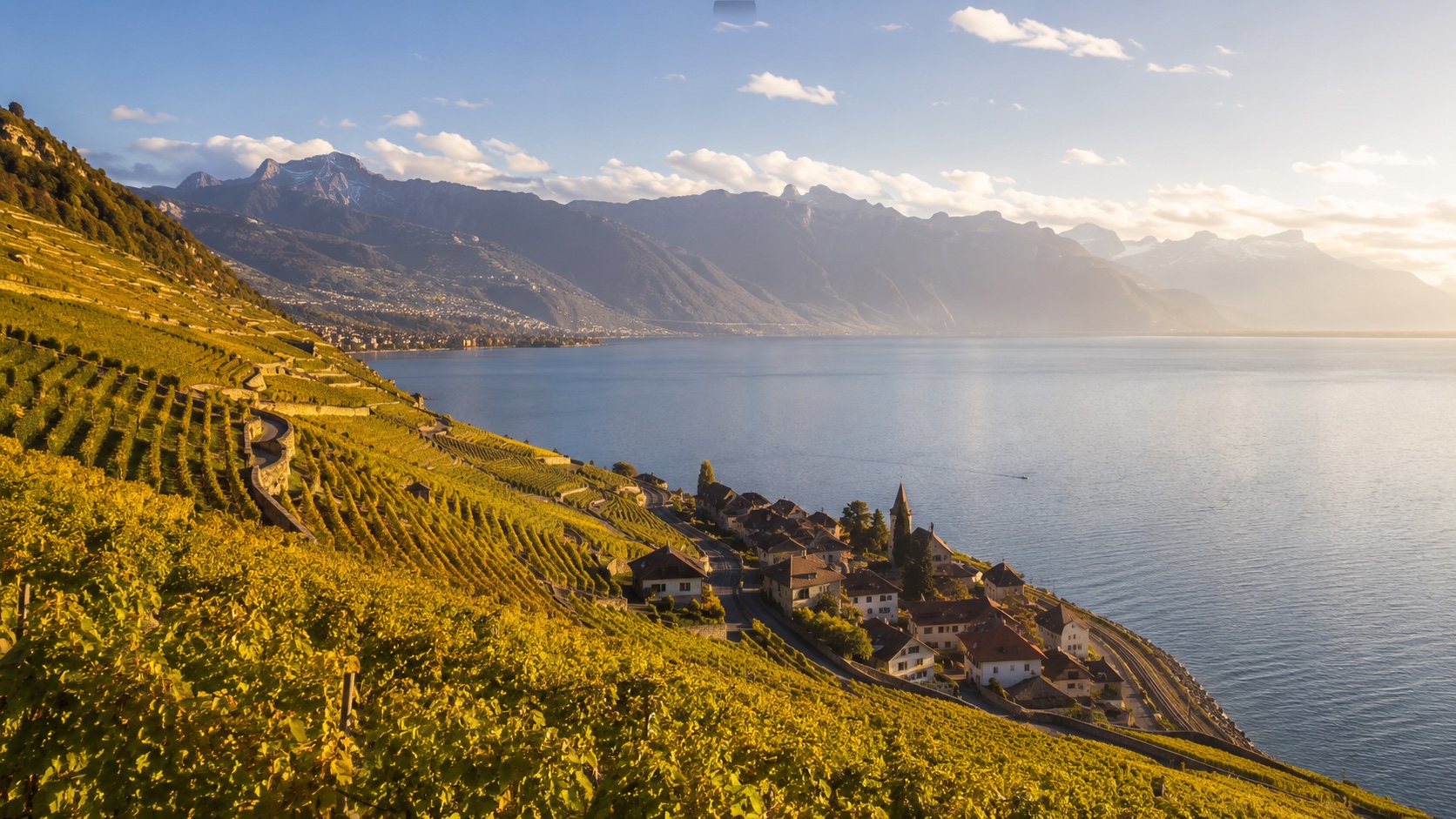 Vignobles en terrasses de Lavaux dominant le Léman et les Alpes.